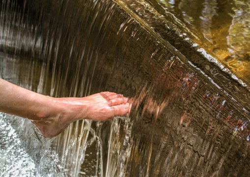 艾葉泡腳的方法-用艾草泡腳時，要記住禁忌哪些，很多人不懂，總是泡錯？